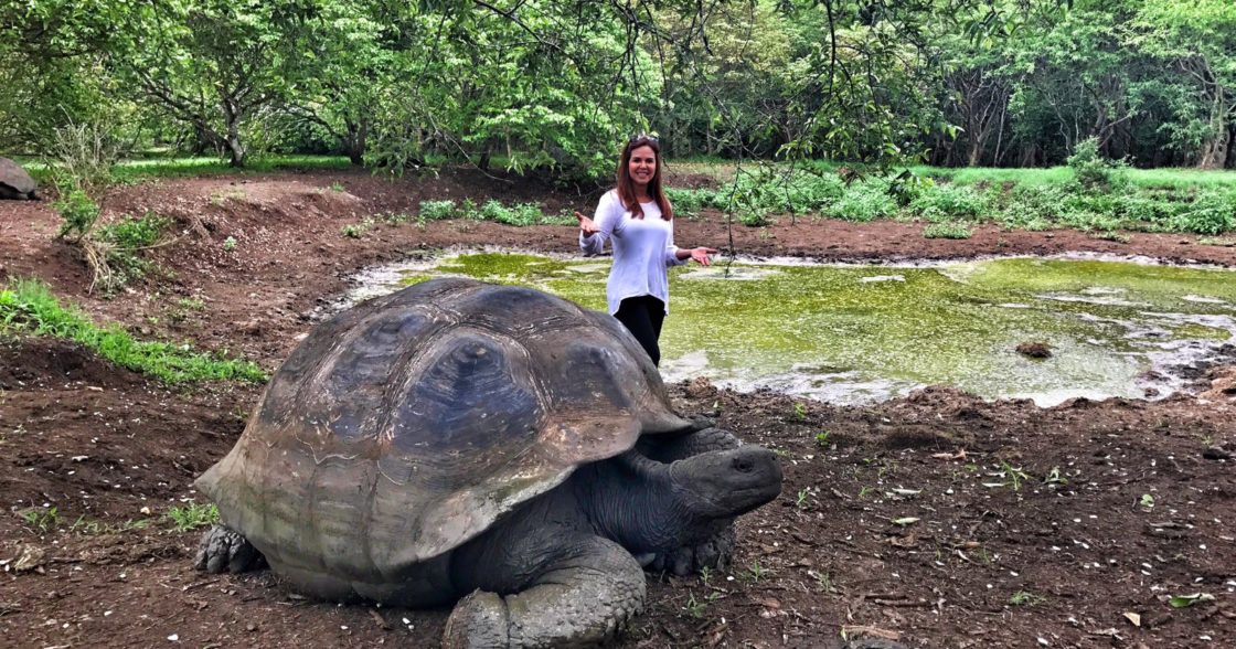 A bordo nuestra ajuste Un día con las tortugas más grandes del mundo en Galápagos - María Celeste  : María Celeste